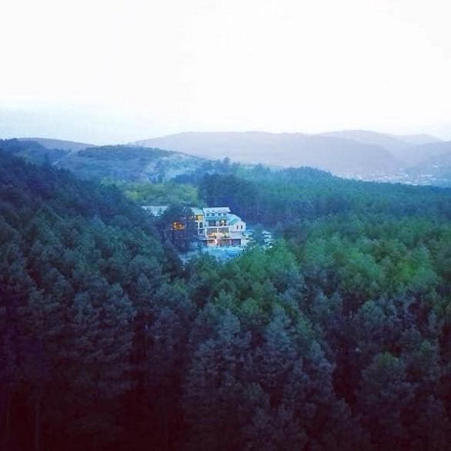 Hotel Surami Buitenkant foto